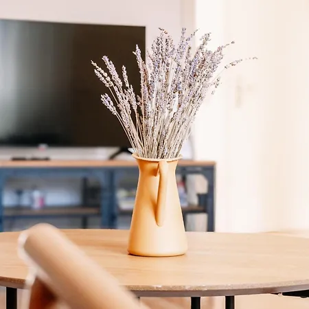 Namastay! City-apartment In Bestlage Appartamento *